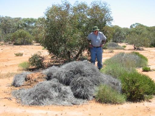 AJC contemplate the lizards that lie therein (Photo: P. Robertson). 