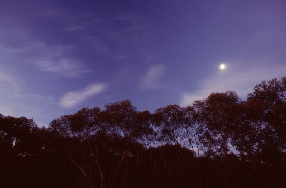 And to finish - sunset, Big Desert style.