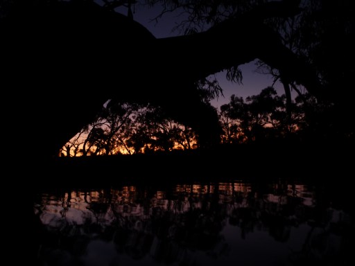 Sunset on the Lindsay River I. Photo: J. Tscharke