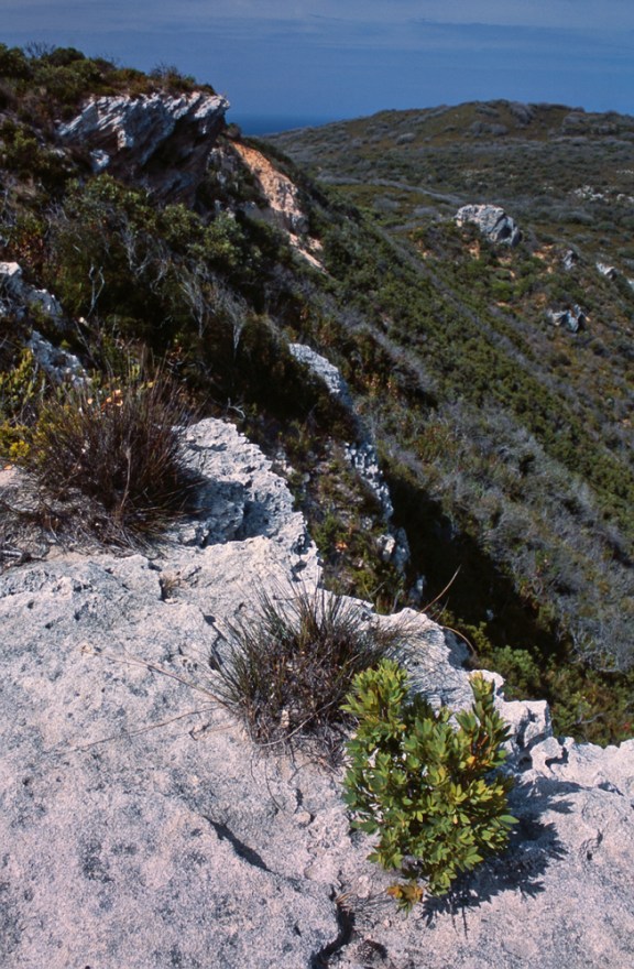 Limestone bluffs of south-western Western Australia