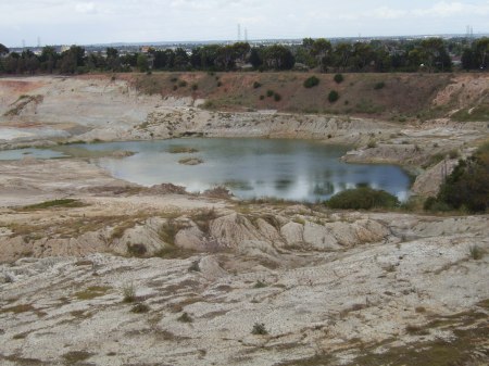 An example of a disease refuge for Growlers: a big, warm and relatively saline quarry wetland