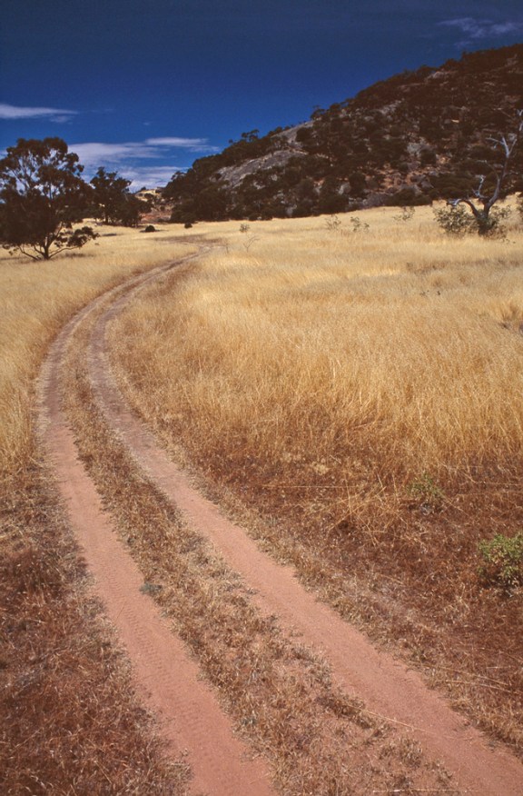 Deep summer in central Victoria 